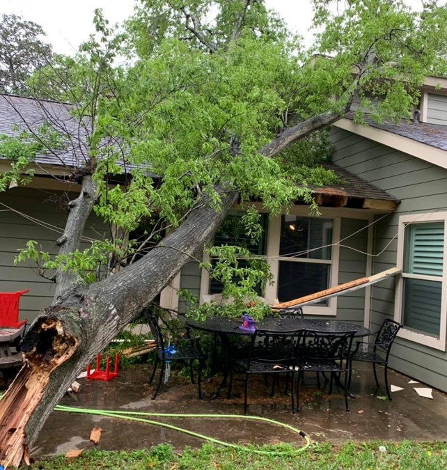 Meadows Tree Service Offers Swift Tree Emergency Services in Sugarland, TX