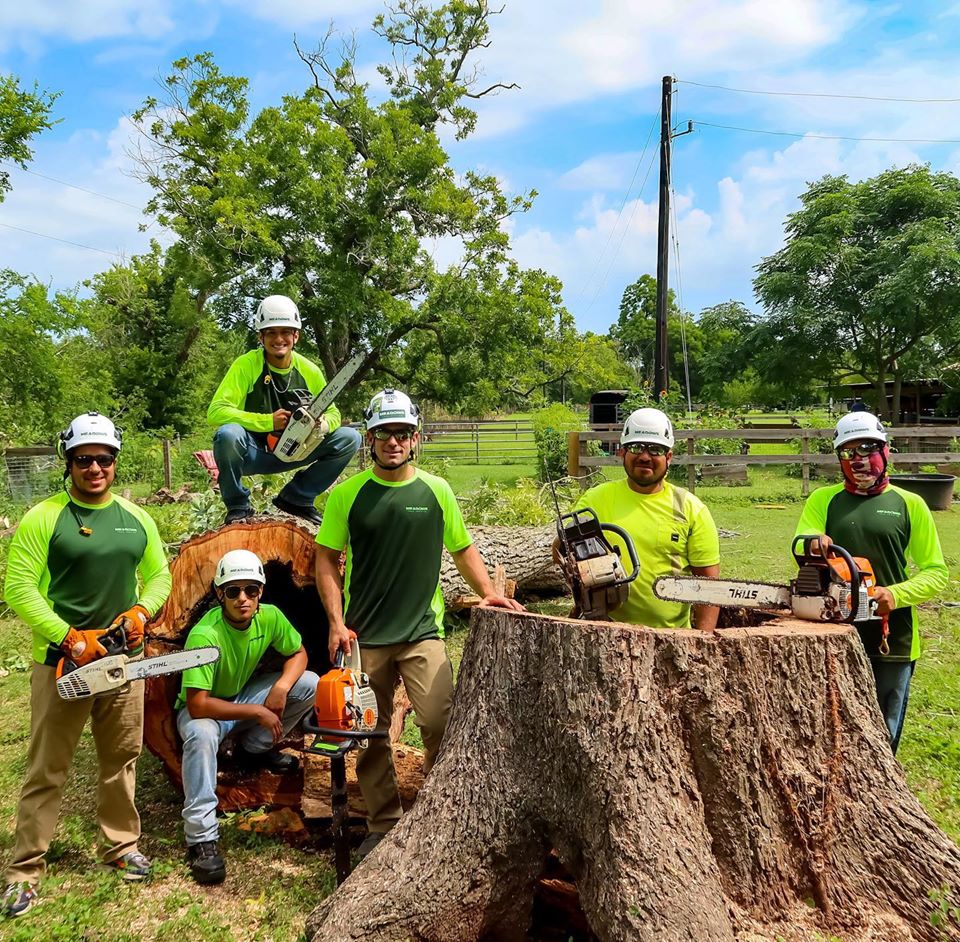 Spring Hill Tree Specialists