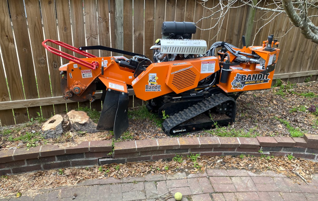 Stump Grinding Services Available in Sugarland, TX