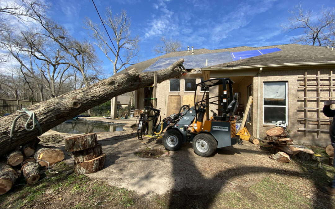 Emergency Tree Services: Get Reliable Assistance Help with Meadows Tree Service