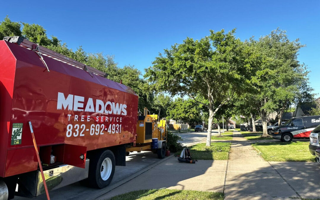 Weather the Storm with Peace of Mind With Meadows Tree Service